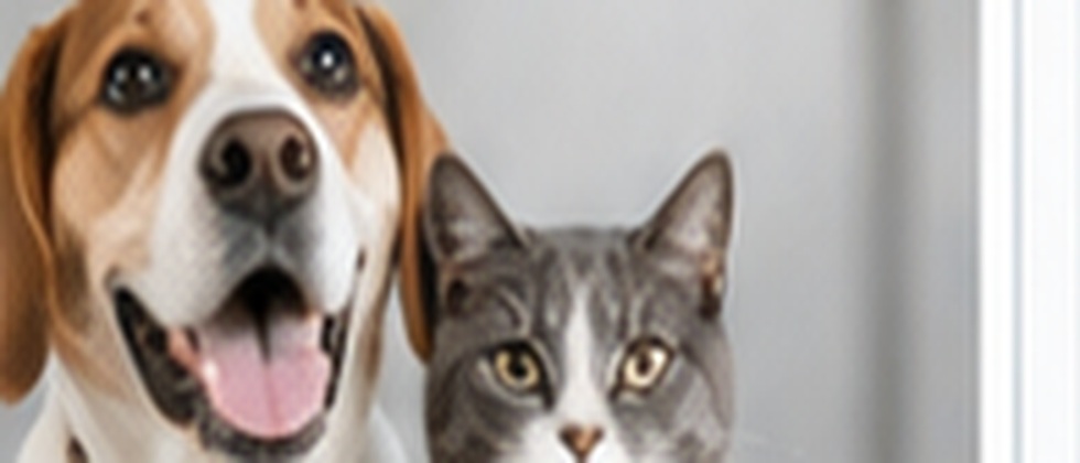 Pequenos Animais